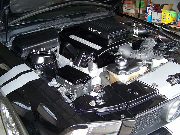 2005-2009 S-197 Gen 1 FORD MUSTANG Black Picture Gallery!-102_5601.jpg