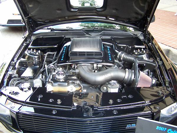 2005-2009 S-197 Gen 1 FORD MUSTANG Black Picture Gallery!-102_6142.jpg