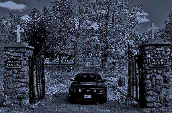 2005-2009 S-197 Gen 1 FORD MUSTANG Black Picture Gallery!-001-copy-4-copy-copy-copy.jpg