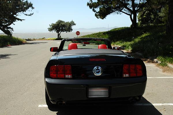 Let's see those Black Beauties-rear.jpg