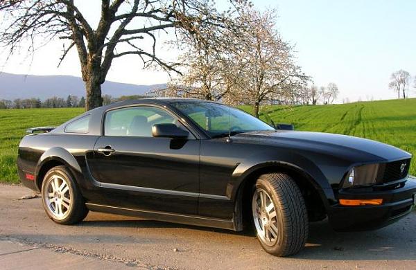 Let's see those Black Beauties-my_stang_2.jpg