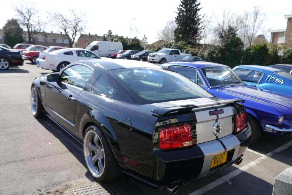 Name:  P1050811_zps8cabe22d.jpg
Views: 164
Size:  87.6 KB