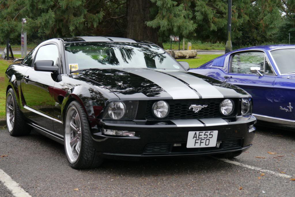 Name:  P1050156_zps3630035f.jpg
Views: 175
Size:  118.5 KB