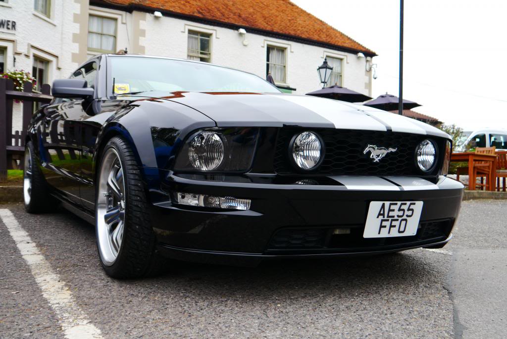 Name:  P1050076_zps2fd80b01.jpg
Views: 177
Size:  106.0 KB