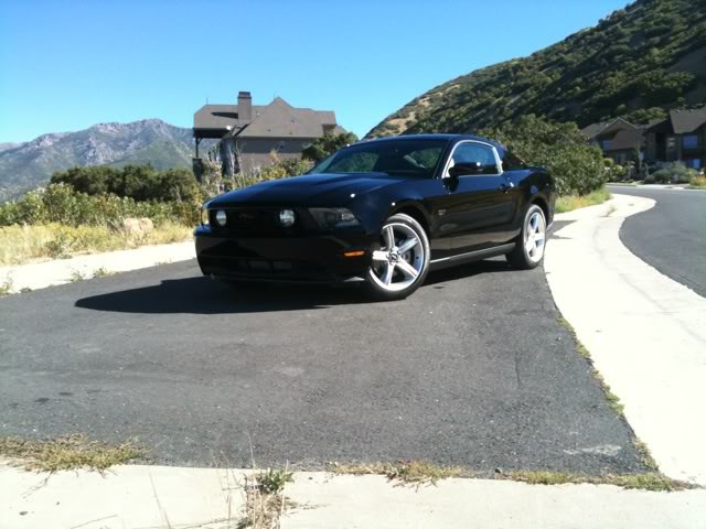 Name:  photo-43.jpg
Views: 164
Size:  61.7 KB