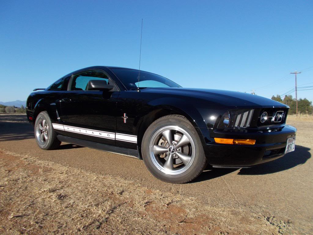 Name:  Mustangpics008_zps7ce83616.jpg
Views: 79
Size:  106.7 KB