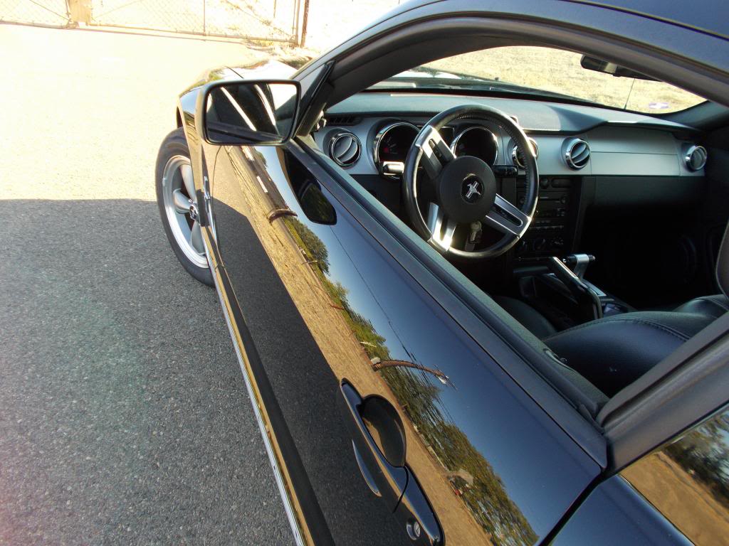 Name:  Mustangpics013_zps433b259e.jpg
Views: 146
Size:  120.6 KB