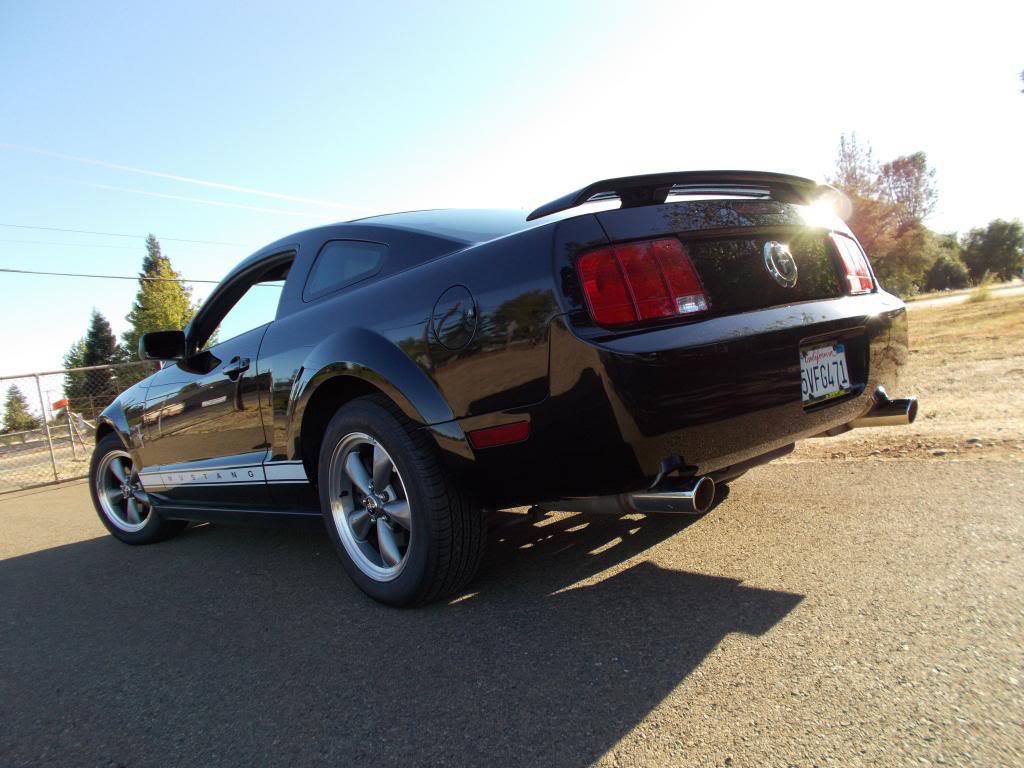 Name:  Mustangpics012_zps660602a0.jpg
Views: 137
Size:  99.4 KB