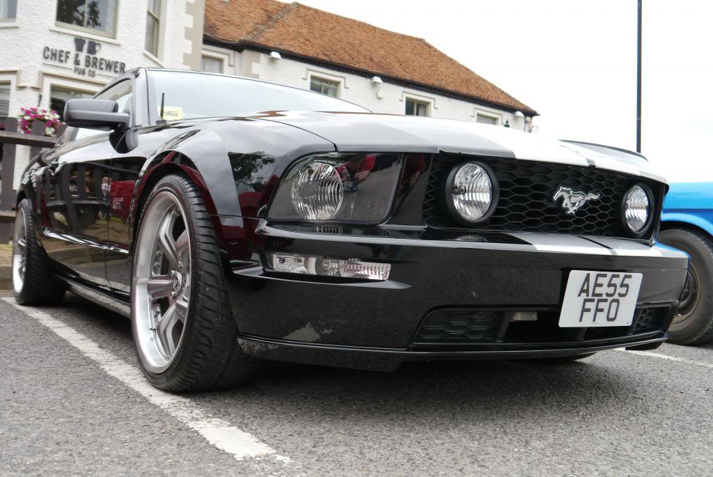 Name:  P1040441_zps119ec5cd.jpg
Views: 121
Size:  106.2 KB