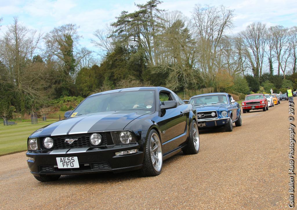 Name:  TT_zps0f42d9df.jpg
Views: 128
Size:  176.5 KB