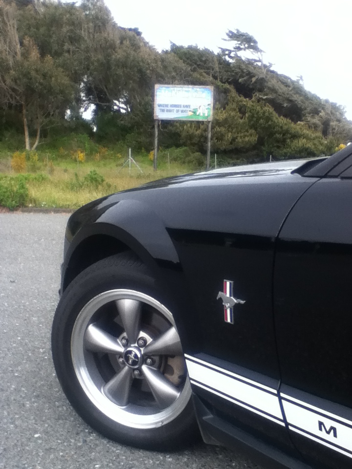 Name:  RandomPics112_zpsd9f96240.jpg
Views: 113
Size:  242.1 KB