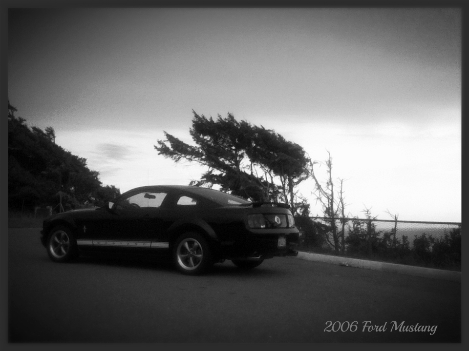 Name:  57f9bc36-7b4b-459d-b4e2-388bd5ac60df_zpsa6449473.jpg
Views: 98
Size:  263.4 KB