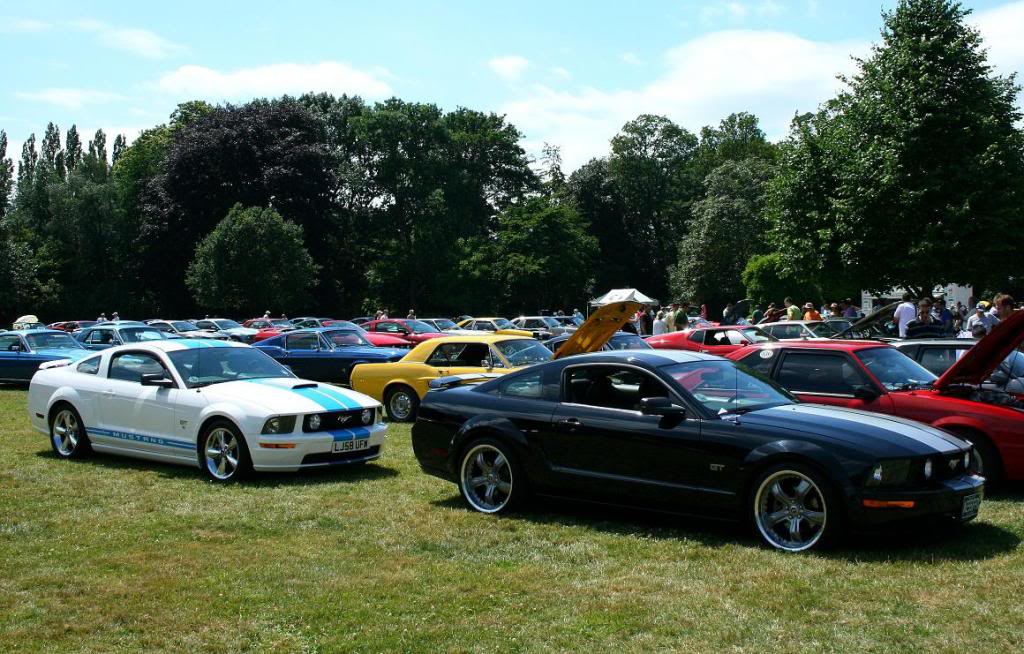 Name:  CapelManorJuly2010-214.jpg
Views: 91
Size:  146.6 KB