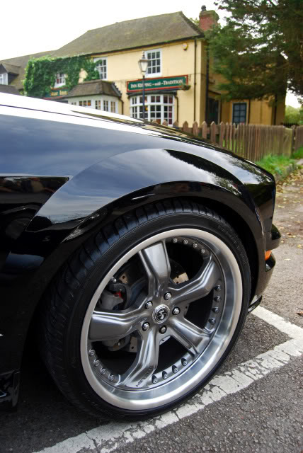 Name:  DSC_0430.jpg
Views: 90
Size:  76.2 KB