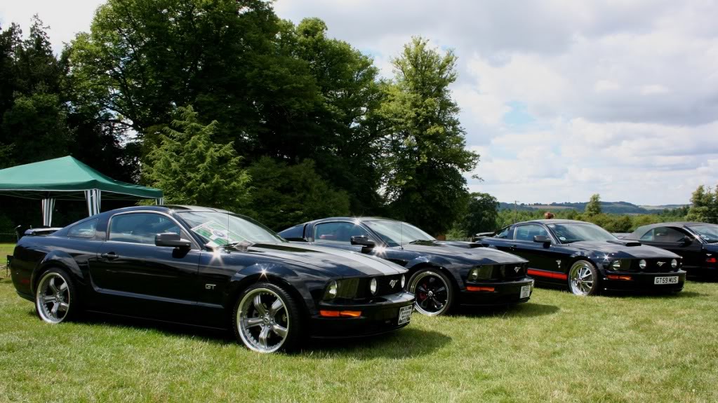 Name:  highclerejuly2010-171.jpg
Views: 125
Size:  150.8 KB