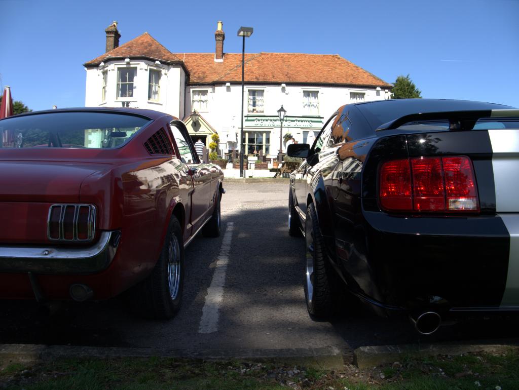 Name:  P1030365_zps9aa3ec31.jpg
Views: 110
Size:  92.4 KB