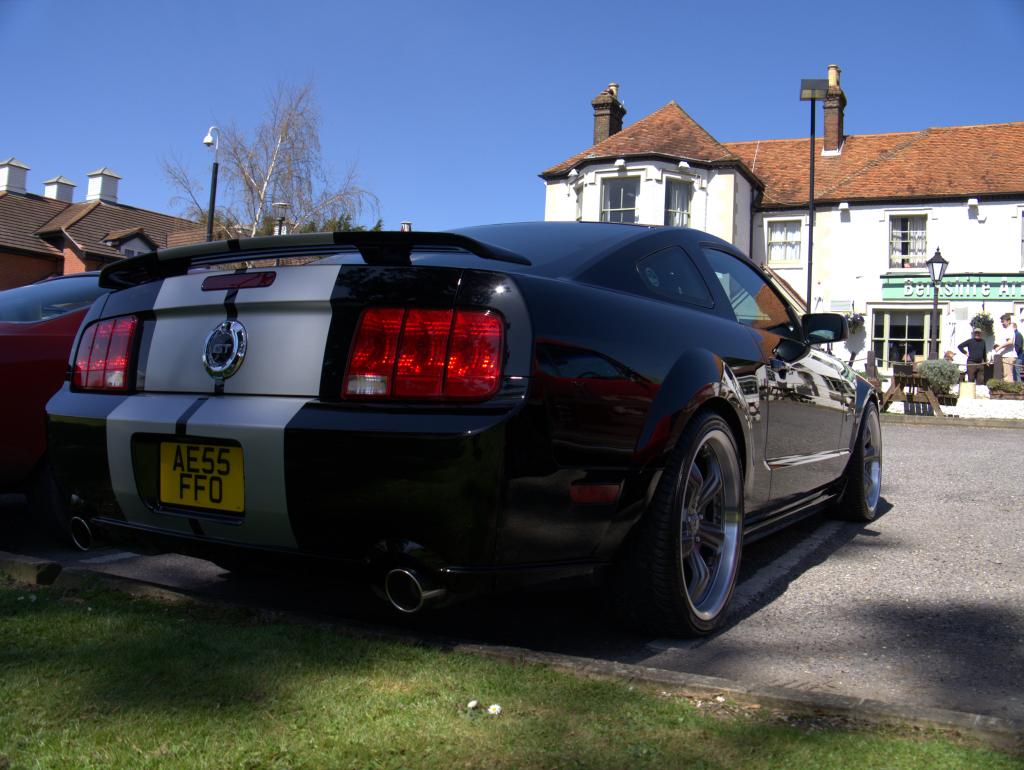 Name:  P1030364_zpsf07b04a8.jpg
Views: 142
Size:  102.8 KB