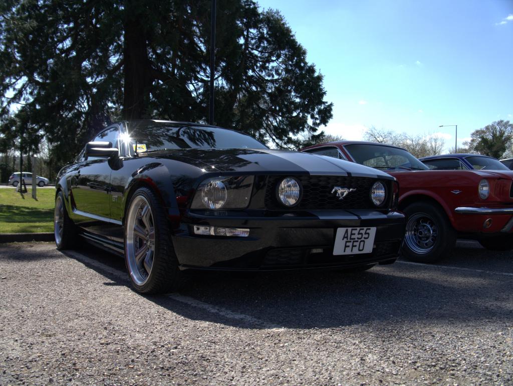 Name:  P1030354_zpsc9be7a15.jpg
Views: 121
Size:  144.9 KB