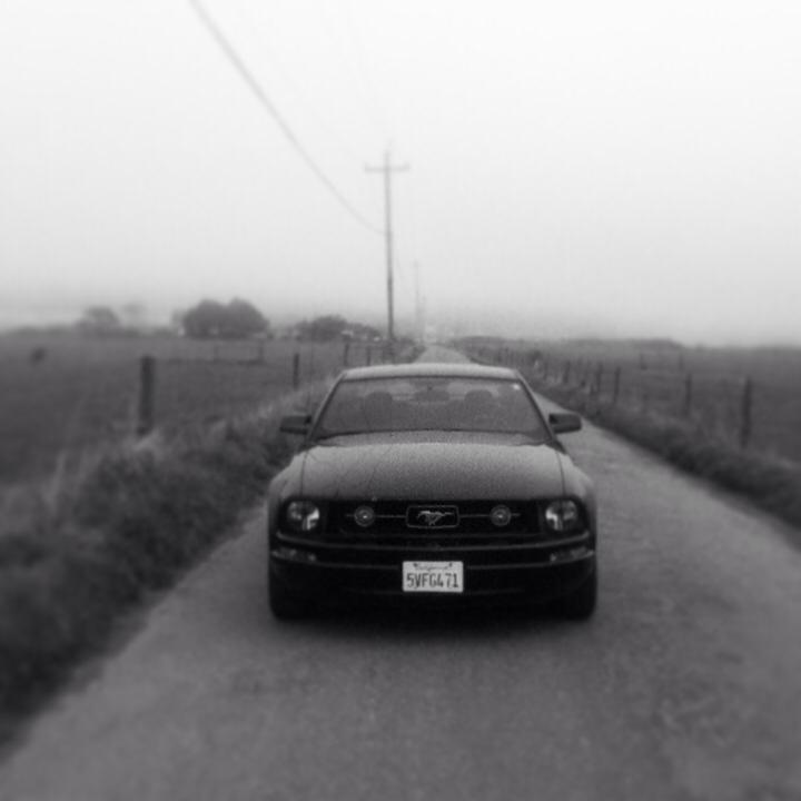 Name:  Mustangblackandwhite_zpscdf0273b.jpg
Views: 102
Size:  24.0 KB