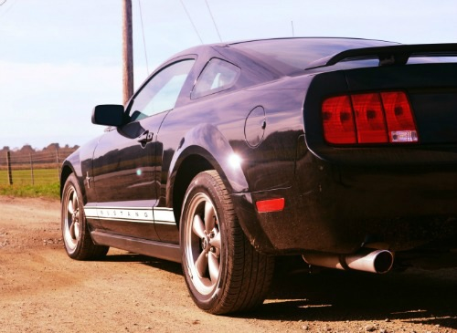 Name:  Mustangrear_zpsd69a0dd0.jpg
Views: 114
Size:  147.0 KB