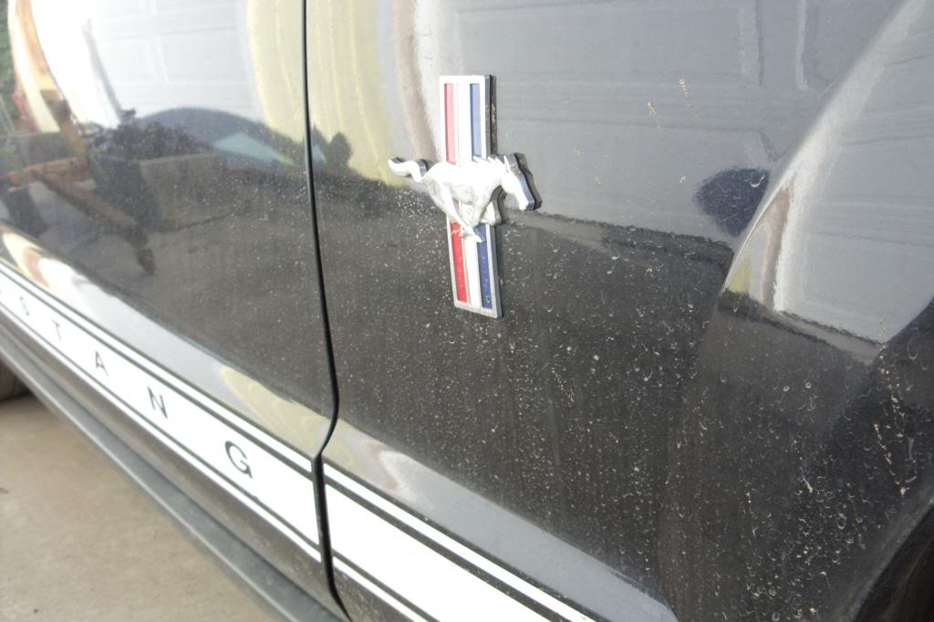 Name:  Mustangdetailprocess007_zps9584ee0e.jpg
Views: 75
Size:  73.9 KB