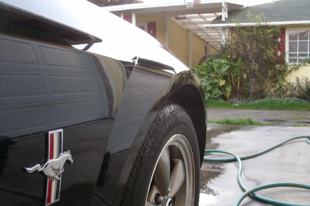 Name:  Mustangdetailprocess038_zps91799ffa.jpg
Views: 84
Size:  70.9 KB