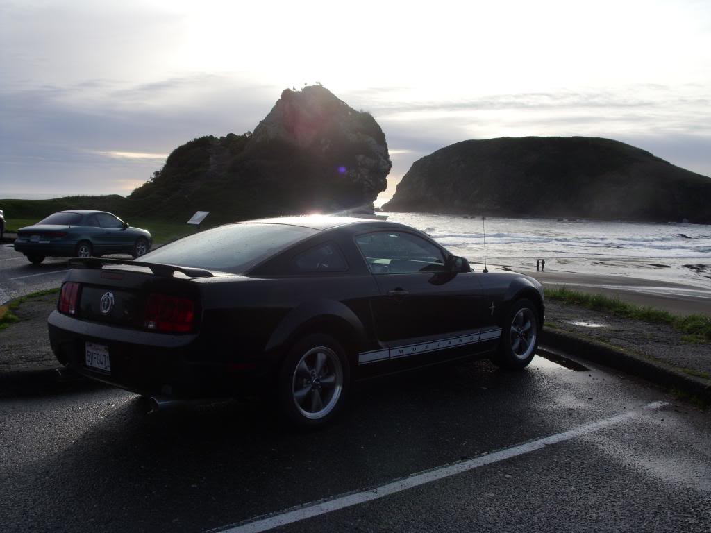 Name:  Picsfromoldcomputer497_zps2002cfdd.jpg
Views: 109
Size:  72.8 KB