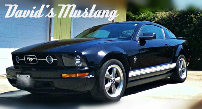 Name:  Mustangclean.jpg
Views: 56
Size:  68.6 KB