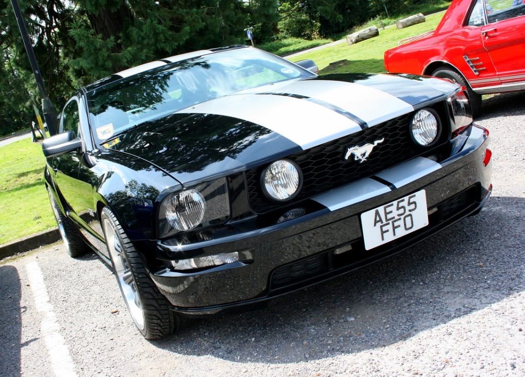 Name:  Berkshiremeetjuly2012-48.jpg
Views: 63
Size:  232.9 KB