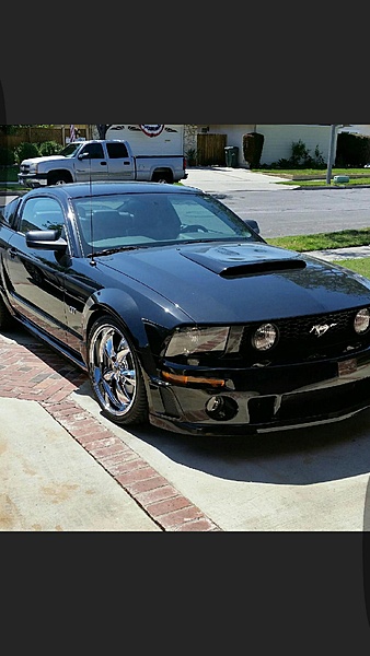2005-2009 S-197 Gen 1 FORD MUSTANG Black Picture Gallery!-stang.jpg