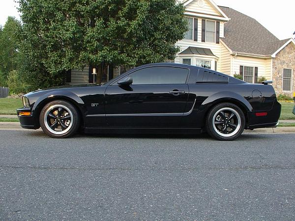 Let's see those Black Beauties-blackstriped-004.jpg
