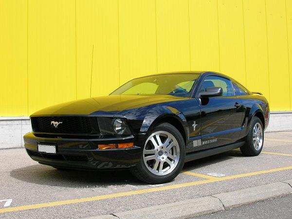 Let's see those Black Beauties-my-stang-3.jpg