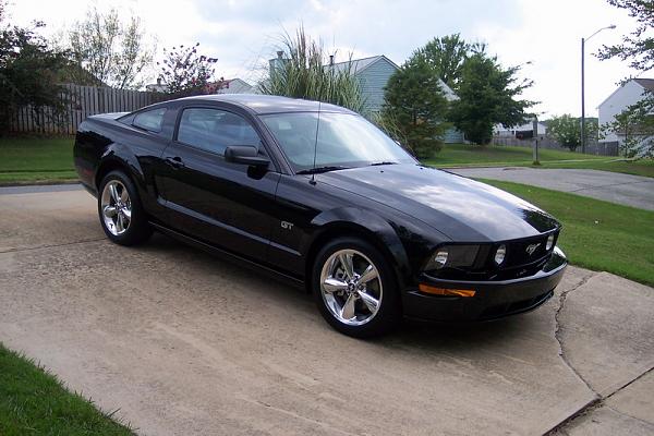 Let's see those Black Beauties-100_1511a.jpg
