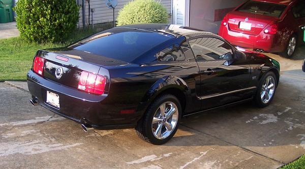 Let's see those Black Beauties-100_1569ab.jpg