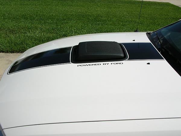 07 Black Stang Photos-dscn3668.jpg
