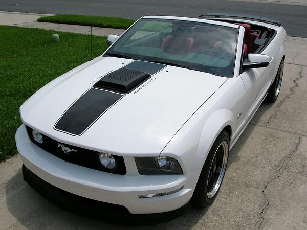 07 Black Stang Photos-dscn3707.jpg