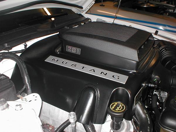 07 Black Stang Photos-p1010149.jpg