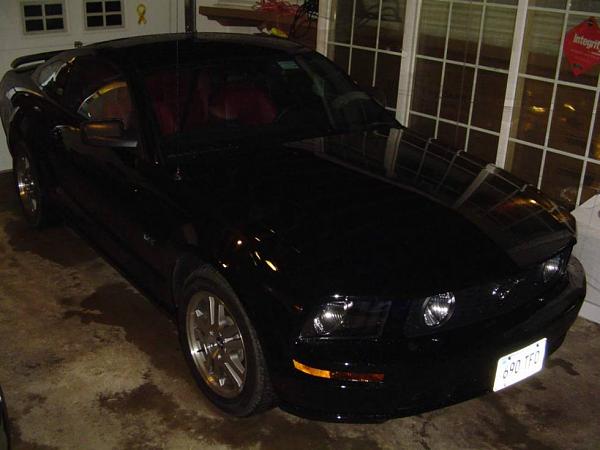 * Black Mustang Check-In *-1yearanniversaryrealtimepic.jpg