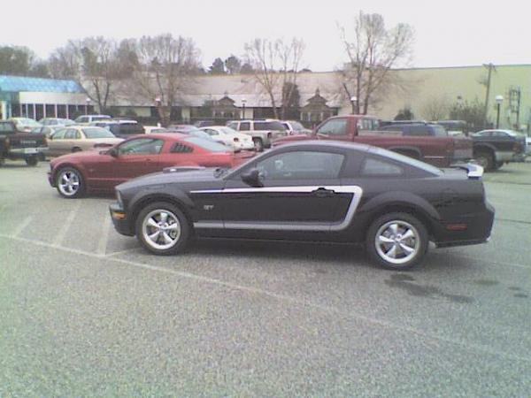 What's it look like on a Black Stang???-011807_0935a.jpg