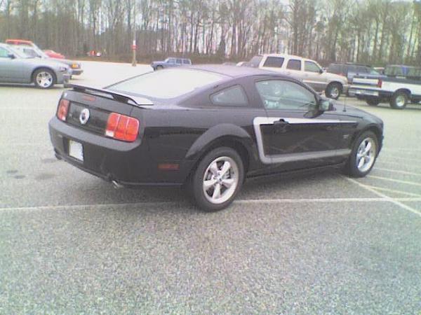What's it look like on a Black Stang???-011807_0937a.jpg
