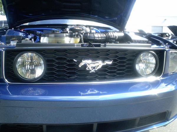 07 Black Stang Photos-imga2005.jpg