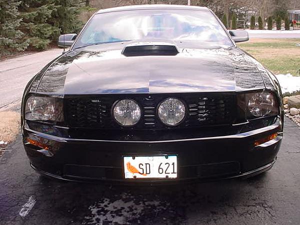 What's it look like on a Black Stang???-mvc-047s.jpg
