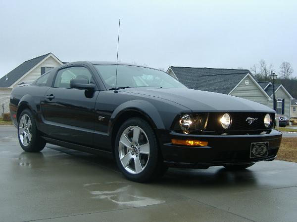 Let's see those Black Beauties-dscf0766.jpg