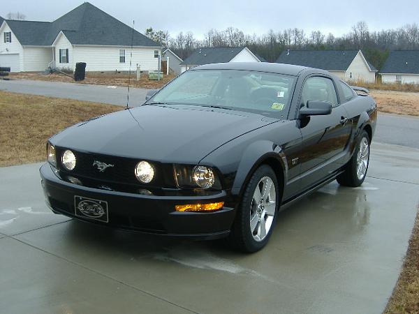Let's see those Black Beauties-dscf0767.jpg