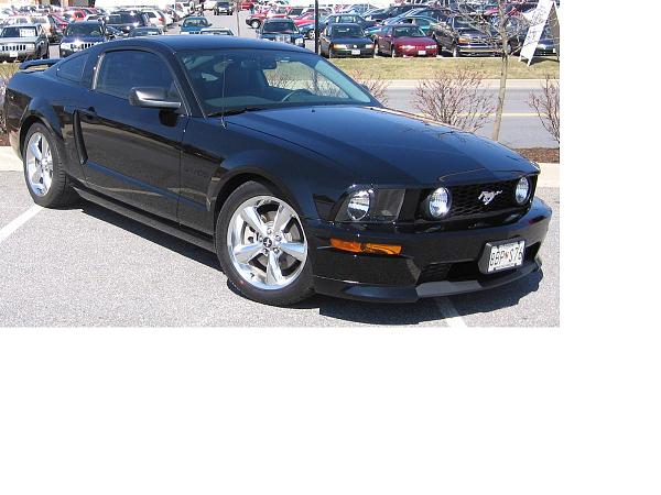 * Black Mustang Check-In *-one-amy-couldnt-do.jpg