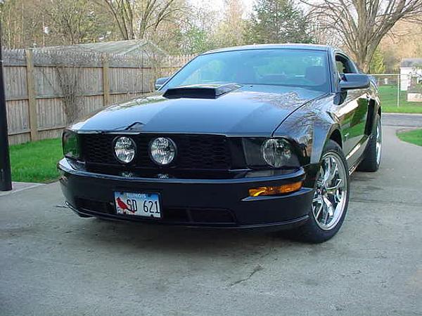 Black Mustang Owners' Perk-mvc-107s.jpg