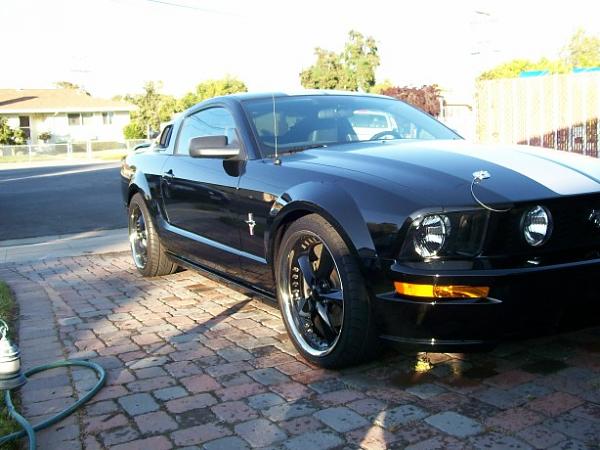 What's it look like on a Black Stang???-000_0008.jpg