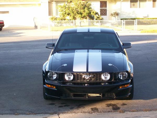 What's it look like on a Black Stang???-000_0021.jpg