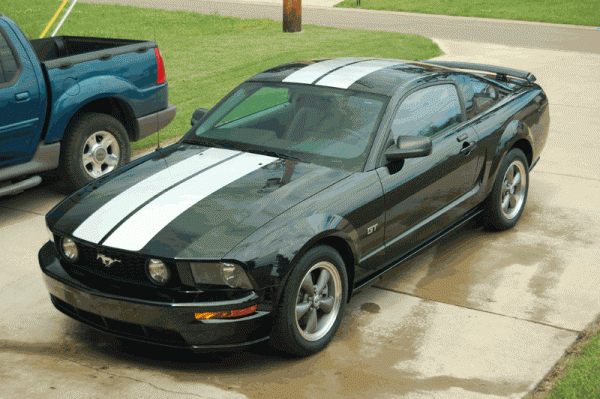 * Black Mustang Check-In *-2005gt.gif