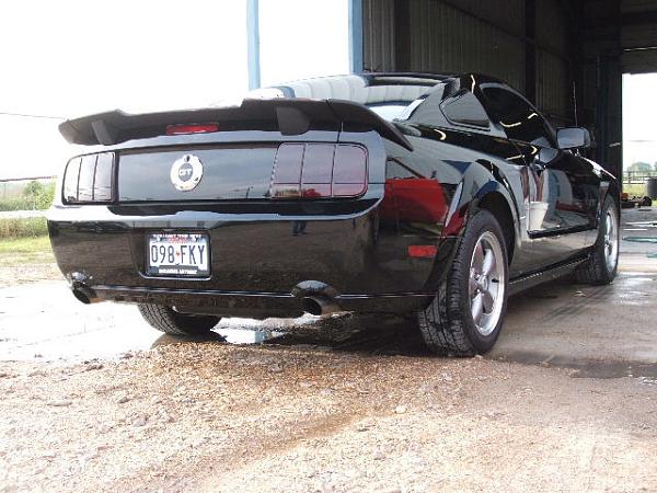 What's it look like on a Black Stang???-4i5eog5.jpg
